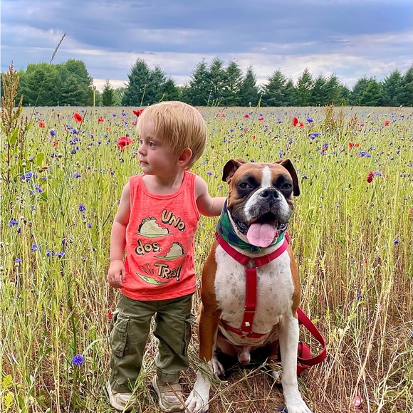 Meet your Posher, Holly - Picture 6 of 16